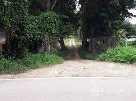  Grundstück zu verkaufen in Mae Rim, Chiang Mai, Mueang Kaeo