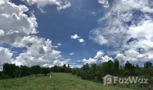 N/A Land for sale in Mae Taeng, Chiang Mai 