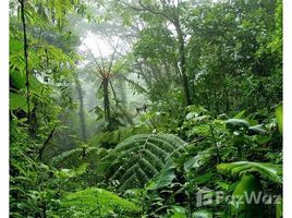 N/A Terreno (Parcela) en venta en , Alajuela JUNGLE PARADISE: Nature lovers paradise: 238 acres of forest, Cote, Alajuela