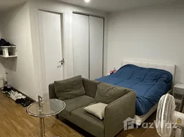Studio Condo for rent at The Nimmana Condo, Suthep, Mueang Chiang Mai, Chiang Mai, Thailand