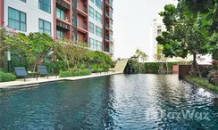 Photo 2 of the Piscine commune at Wyne Sukhumvit