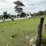  Land for sale in Fang Kham, Ubon Ratchathani, Fang Kham, Sirindhorn, Ubon Ratchathani, Thailand