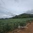  Land for sale in Sattahip, Chon Buri, Bang Sare, Sattahip