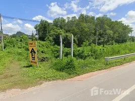 ขายที่ดิน ใน ท่ามะพลา, ชุมพร, ท่ามะพลา, หลังสวน