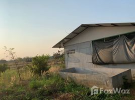  Grundstück zu verkaufen in Mueang Maha Sarakham, Maha Sarakham, Koeng, Mueang Maha Sarakham