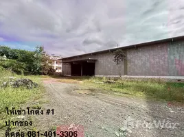 คลังสินค้า ให้เช่า ในทำเล ปากช่อง, นครราชสีมา, ปากช่อง, ปากช่อง