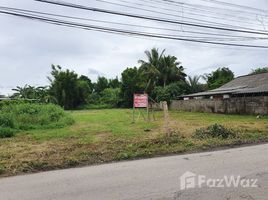  Terrain for sale in Don Kaeo, Saraphi, Don Kaeo