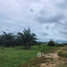  Terrain for sale in Bang Saphan, Prachuap Khiri Khan, Ron Thong, Bang Saphan