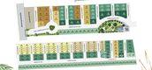 Master Plan of SENA Ville Lumlukka-Khlong 6