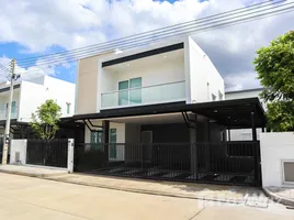 在Palm Ville Khuang Sing Intersection-Chotana Rd.租赁的4 卧室 屋, Chang Phueak, 孟清迈, 清迈