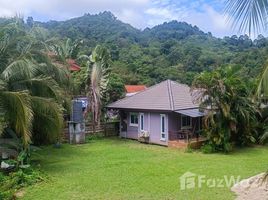 2 Habitación Villa en alquiler en Phuket, Kamala, Kathu, Phuket
