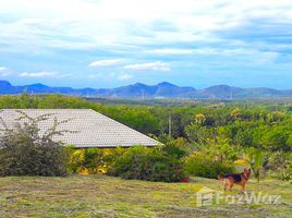  Земельный участок for sale in Mueang Loei, Loei, Na Din Dam, Mueang Loei