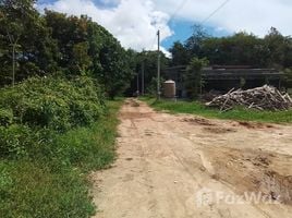  Земельный участок for sale in Пхукет, Pa Khlok, Тхаланг, Пхукет