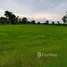  Land for sale in Sam Yaek, Loeng Nok Tha, Sam Yaek