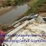  토지을(를) Kamphaeng Phet에서 판매합니다., Thep Nimit, Bueng Samakkhi, Kamphaeng Phet