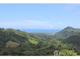  Terrain for sale in Puntarenas, Osa, Puntarenas