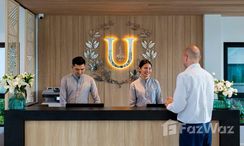 Photos 2 of the Reception / Lobby Area at Utopia Naiharn