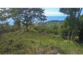  Terrain for sale in Osa, Puntarenas, Osa