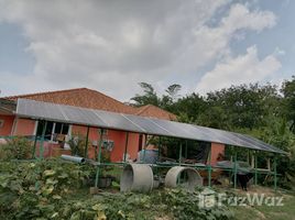  Земельный участок for sale in Kalasin, Sahatsakhan, Sahatsakhan, Kalasin