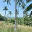  Grundstück zu verkaufen in Koh Samui, Surat Thani, Lipa Noi