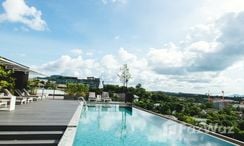 Photos 1 of the Communal Pool at The Proud Condominium