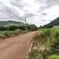 ขายที่ดิน ใน หนองน้ำแดง, นครราชสีมา, หนองน้ำแดง, ปากช่อง, นครราชสีมา, ไทย