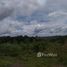  Land for sale in Amazonas, Balbina, Presidente Figueiredo, Amazonas