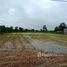  Land for sale in Yasothon, Sam Yaek, Loeng Nok Tha, Yasothon