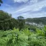  Terrain for sale in Kata Beach, Karon, Karon