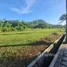  Terreno (Parcela) en venta en Thalang, Phuket, Si Sunthon, Thalang