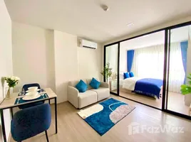 1 Habitación Apartamento en alquiler en Dcondo Reef Phuket, Kathu, Kathu, Phuket