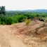  Terreno (Parcela) en venta en Tailandia, Pa Khlok, Thalang, Phuket, Tailandia