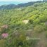  Terrain for sale in Aguirre, Puntarenas, Aguirre