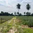  Land for sale in Phetchaburi, Cha-Am, Phetchaburi