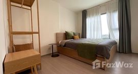 ยูนิตมือสองและให้เช่า