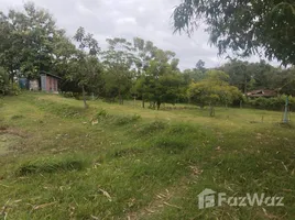  Land for sale in Khan Rai, Ubon Ratchathani, Khan Rai, Sirindhorn, Ubon Ratchathani, Thailand