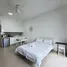 Studio Penthouse zu vermieten im Mirage By The Lake Villa, Petaling, Petaling