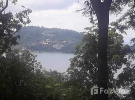 ขายที่ดิน ใน ป่าตอง, ภูเก็ต, ป่าตอง, กะทู้, ภูเก็ต, ไทย