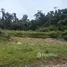 在Alajuela出售的 土地, Upala, Alajuela