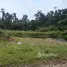  Terrain for sale in Upala, Alajuela, Upala