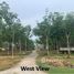 N/A Grundstück zu verkaufen in Khok Kloi, Phangnga Exceptional Development Land for Sale - Rai
