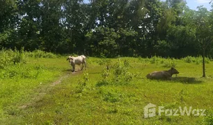 N/A Land for sale in Ban Sahakon, Chiang Mai 