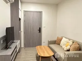 คอนโด 1 ห้องนอน ให้เช่า ในโครงการ ออริจิ้น ปลั๊ก แอนด เพลย์ สิรินธร สเตชั่น, บางบำหรุ, บางพลัด, กรุงเทพมหานคร