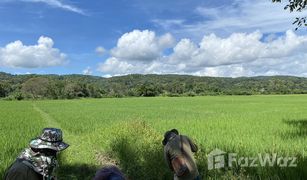 N/A Land for sale in San Pa Yang, Chiang Mai 