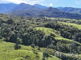  Land for sale in Perez Zeledon San Jose, Perez Zeledon, San Jose, Costa Rica
