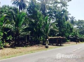 N/A Land for sale in , Limon Bananito Limon, Bananito Sur, Limon