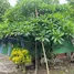 7 Bedroom Hotel for sale in Bunrueang, Chiang Rai, Bunrueang, Chiang Khong