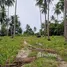  Land for sale in Khanom, Nakhon Si Thammarat, Khanom, Khanom, Nakhon Si Thammarat, Thailand