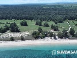  토지을(를) 이스트 누사 텐가라에서 판매합니다., Pandawai, Sumba Timur, 이스트 누사 텐가라