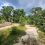  Земельный участок for sale in Koh Phangan, Сураттани, Koh Phangan, Koh Phangan, Сураттани